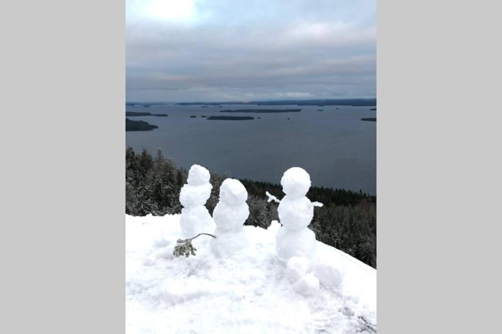 Kolin Pikkukolo - Saunallinen Studiohuoneisto Kolinkylä Extérieur photo