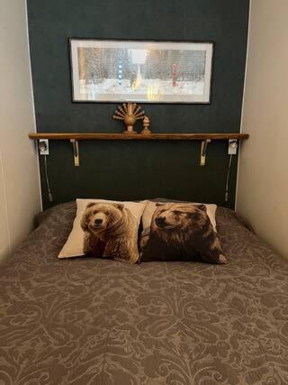 Kolin Pikkukolo - Saunallinen Studiohuoneisto Kolinkylä Extérieur photo